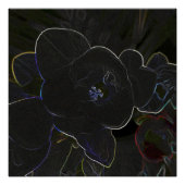 Blume Poster (Vorderseite)