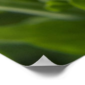 Blume Poster (Ecke)