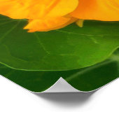 Blume Poster (Ecke)