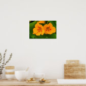 Blume Poster (Küche)