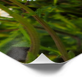Blume Poster (Ecke)