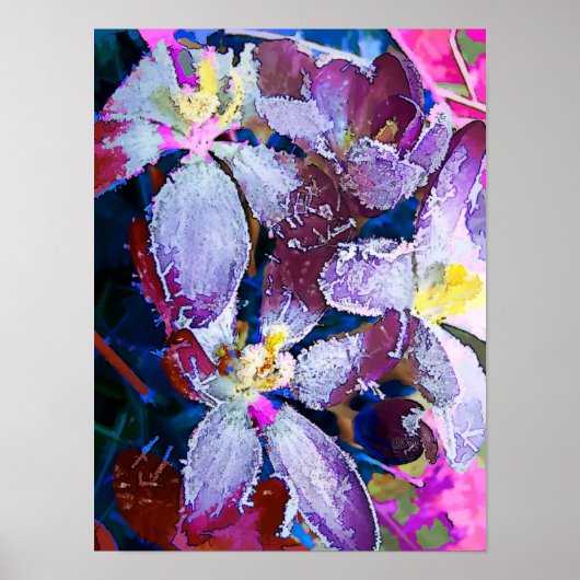 BLUME POSTER (Vorne)