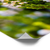 Blume Poster (Ecke)