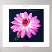 Blume Poster (Vorne)