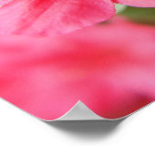 Blume Poster (Ecke)