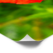 Blume Poster (Ecke)