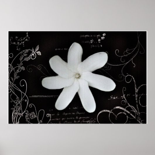 Blume Poster (Vorne)