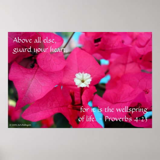 Blume Poster (Vorne)