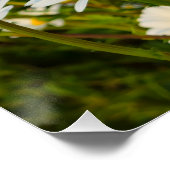 Blume Poster (Ecke)