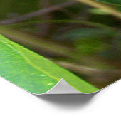 Blume Poster (Ecke)