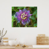 Blume Poster (Küche)
