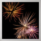 Blume Poster (Vorne)