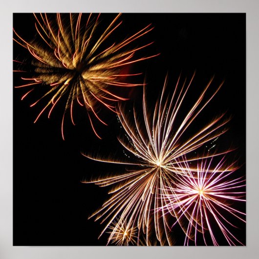 Blume Poster (Vorne)