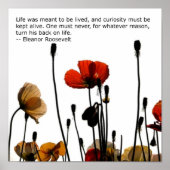 Blume Poster (Vorne)