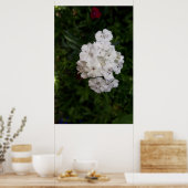 Blume Poster (Küche)
