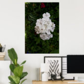 Blume Poster (Heimbüro)