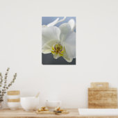 Blume Poster (Küche)