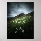 Blume Poster (Vorne)