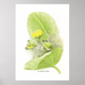 Blume Poster (Vorne)