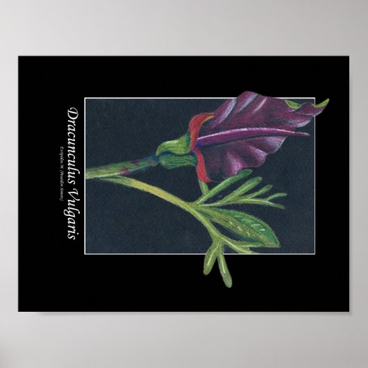 Blume Poster (Vorne)