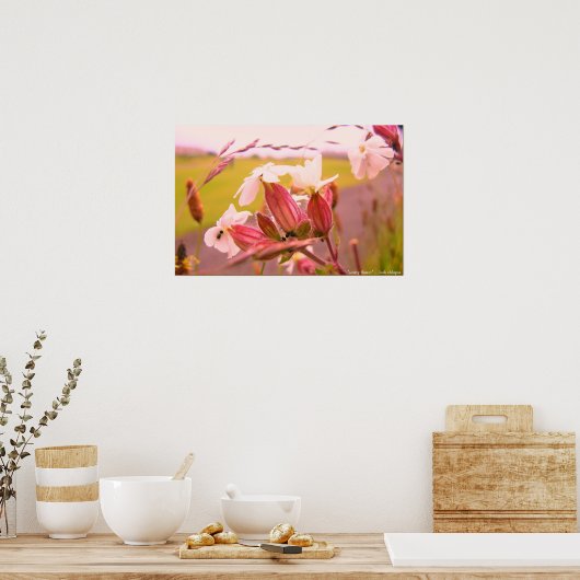 Blume Poster (Küche)