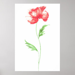 Blume Poster