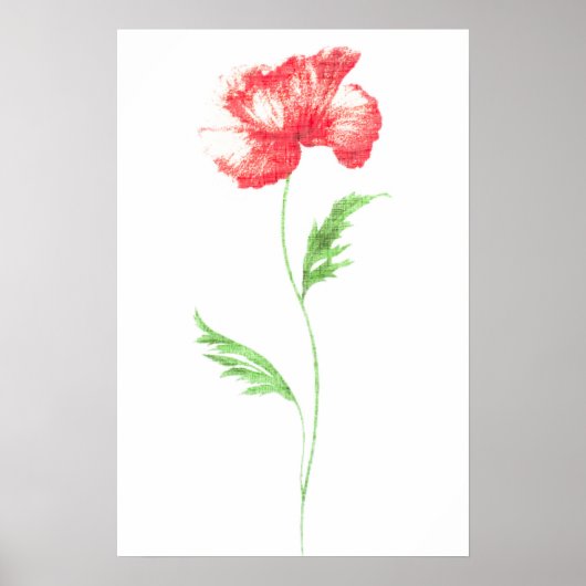 Blume Poster (Vorne)