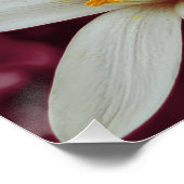Blume Poster (Ecke)