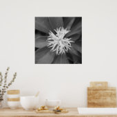 Blume Poster (Küche)