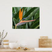 Blume-Poster "Bird of Paradise" Poster (Küche)