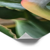 Blume-Poster "Bird of Paradise" Poster (Ecke)