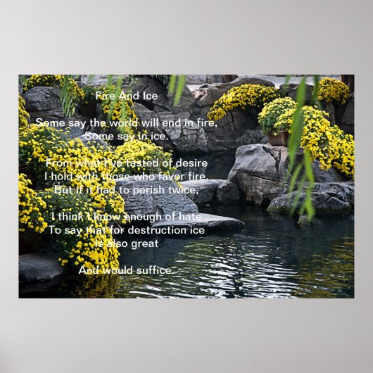 Blume-Poster für Feuer und Eis Poster (Vorne)