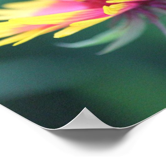 Blume Poster mit Inspiration Zitat (Ecke)