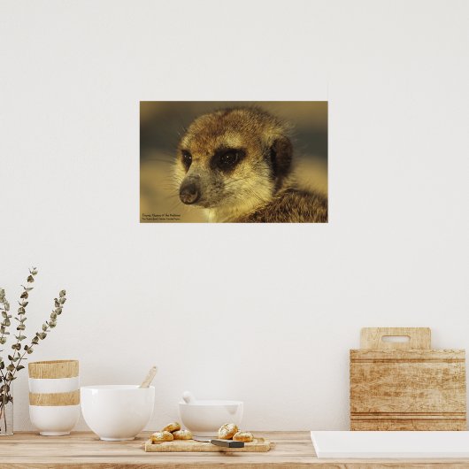 Blume Poster - Royal Whiskers Collection (Küche)