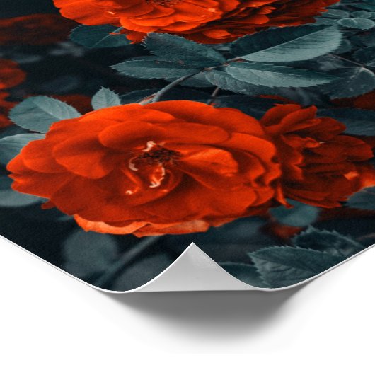 Blume Posters & Prints Poster (Ecke)