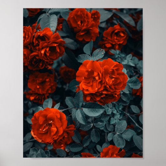 Blume Posters & Prints Poster (Vorne)