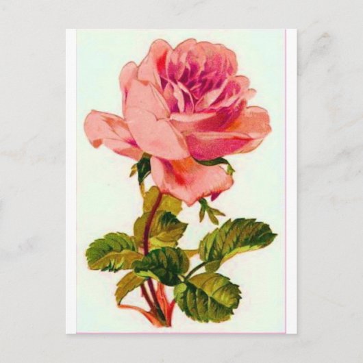 Blume Postkarte (Vorderseite)