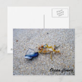 Blume Postkarte (Vorne/Hinten)