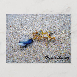 Blume Postkarte