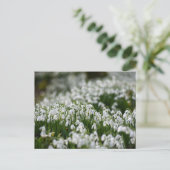 Blume Postkarte (Stehend Vorderseite)