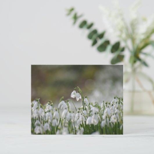 Blume Postkarte (Stehend Vorderseite)