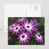 Blume Postkarte (Vorne/Hinten)