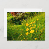 Blume Postkarte (Vorne/Hinten)