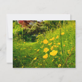 Blume Postkarte