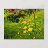 Blume Postkarte (Vorderseite)