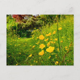 Blume Postkarte