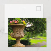 Blume Postkarte (Vorne/Hinten)