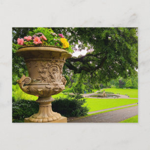 Blume Postkarte