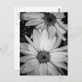 Blume Postkarte (Vorne/Hinten)