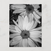 Blume Postkarte (Vorderseite)